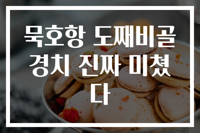 묵호항 도째비골 경치 진짜 미쳤다