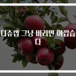 물티슈캡 그냥 버리면 아깝습니다