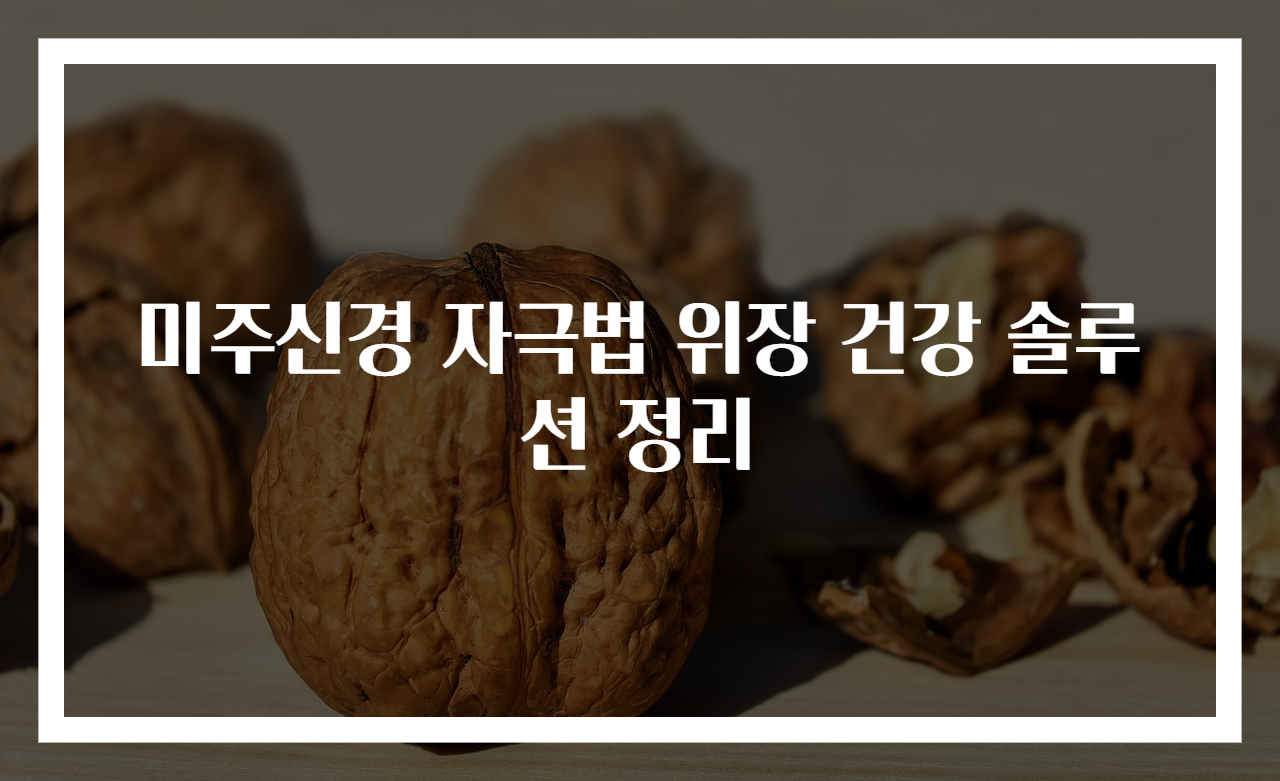 미주신경 자극법 위장 건강 솔루션 정리