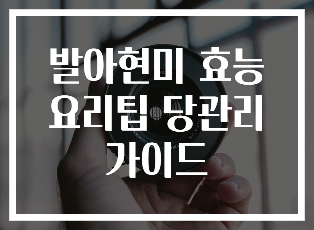 발아현미 효능 요리팁 당관리 가이드