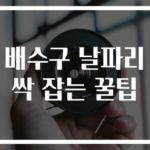 배수구 날파리 싹 잡는 꿀팁