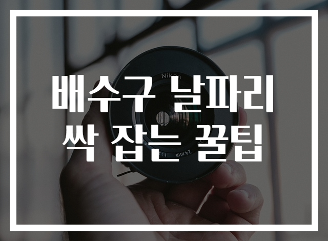 배수구 날파리 싹 잡는 꿀팁
