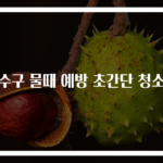 배수구 물때 예방 초간단 청소법