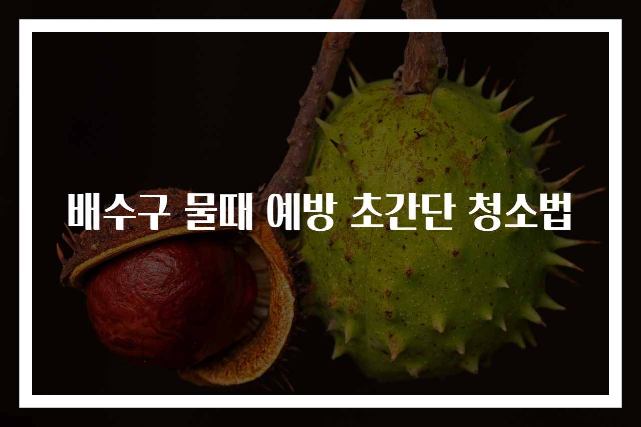 배수구 물때 예방 초간단 청소법