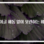 베이글 해동 없이 보관하는 비법