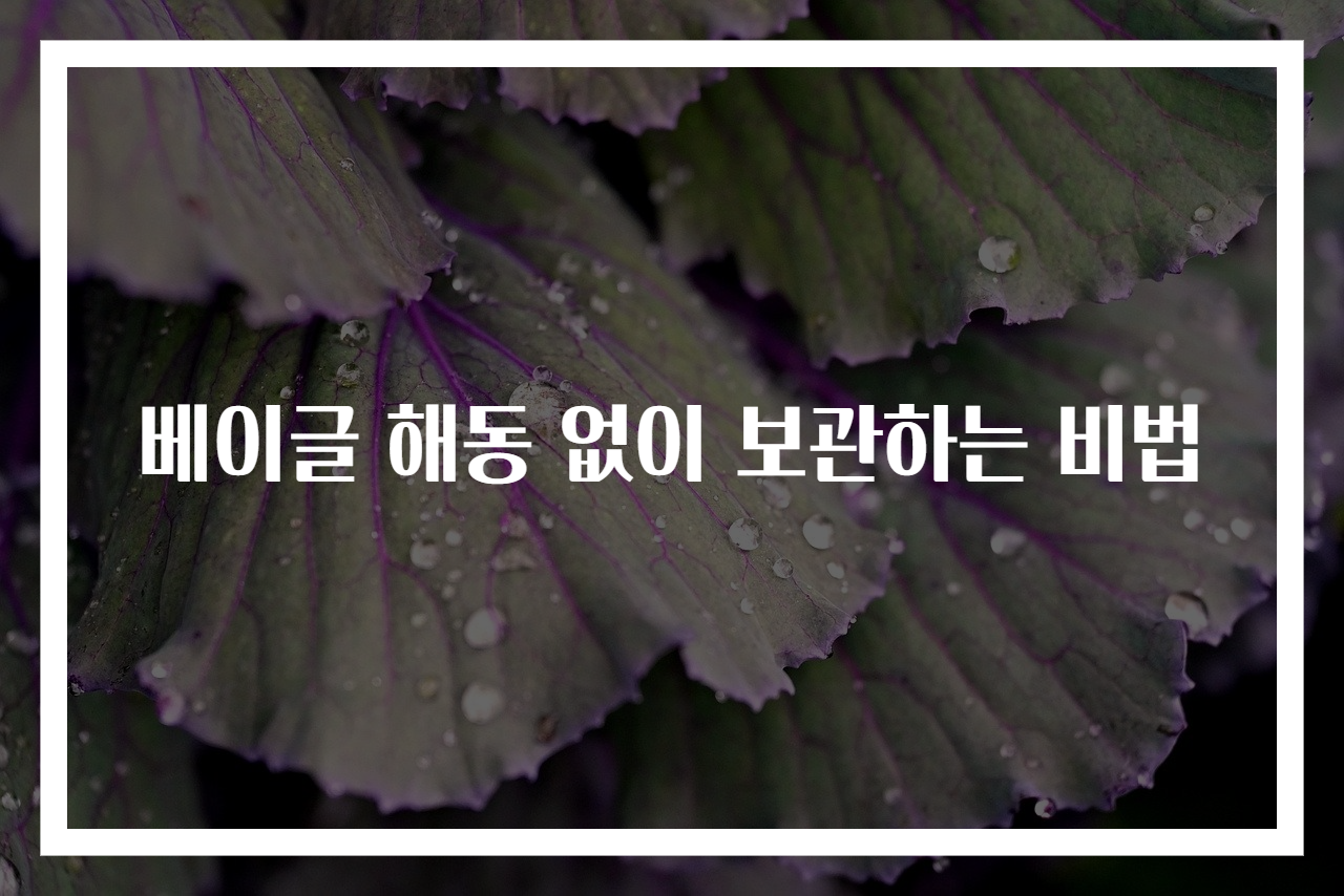 베이글 해동 없이 보관하는 비법