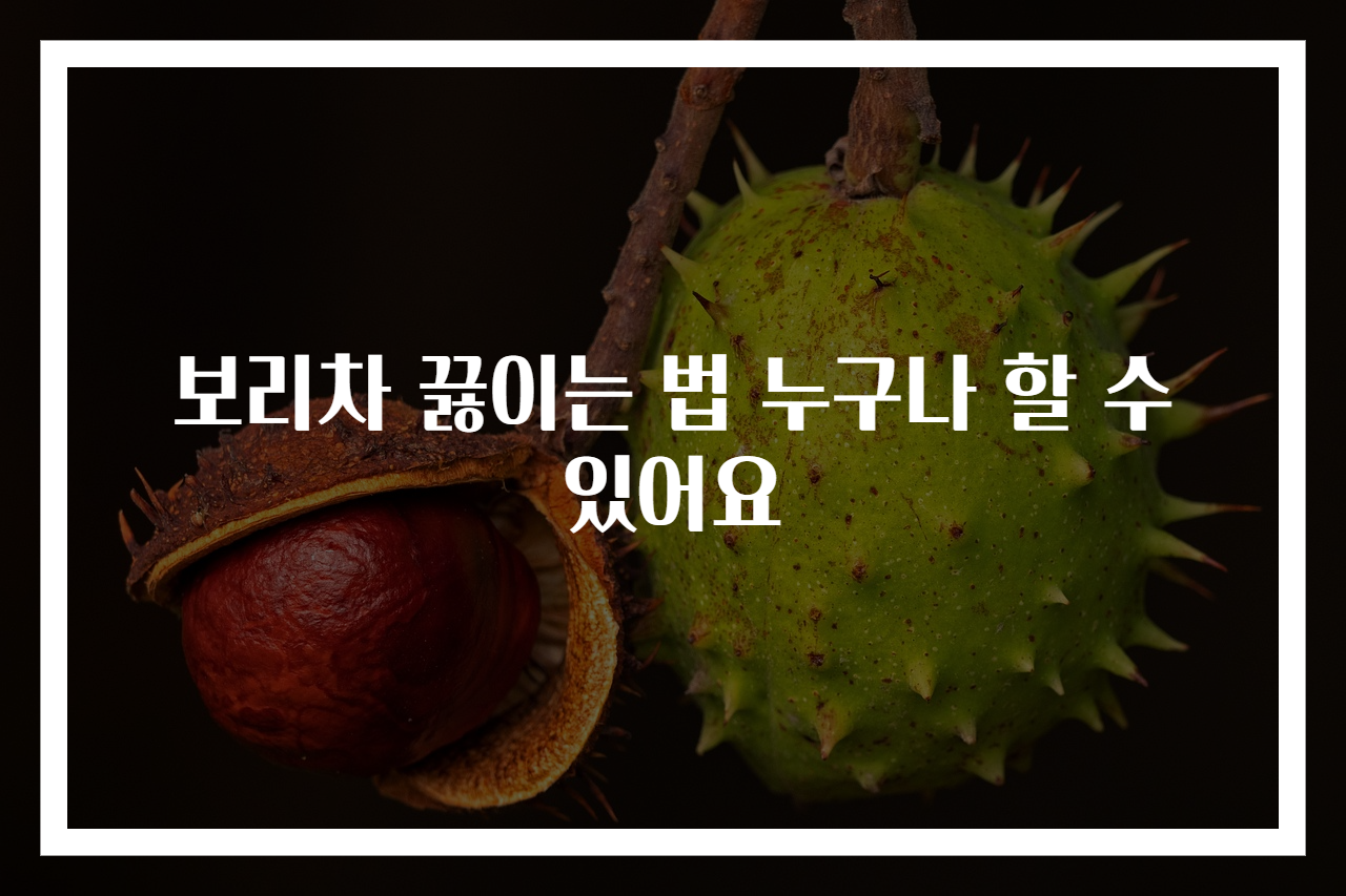 보리차 끓이는 법 누구나 할 수 있어요