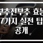 부추전부추 효능 7가지 실전 팁 공개