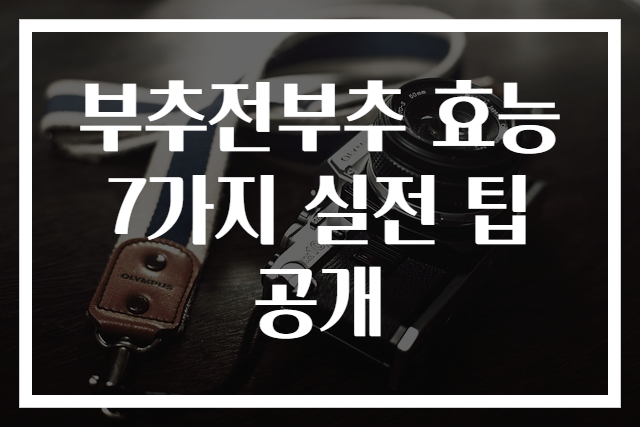 부추전부추 효능 7가지 실전 팁 공개