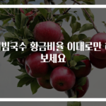 비빔국수 황금비율 이대로만 해보세요