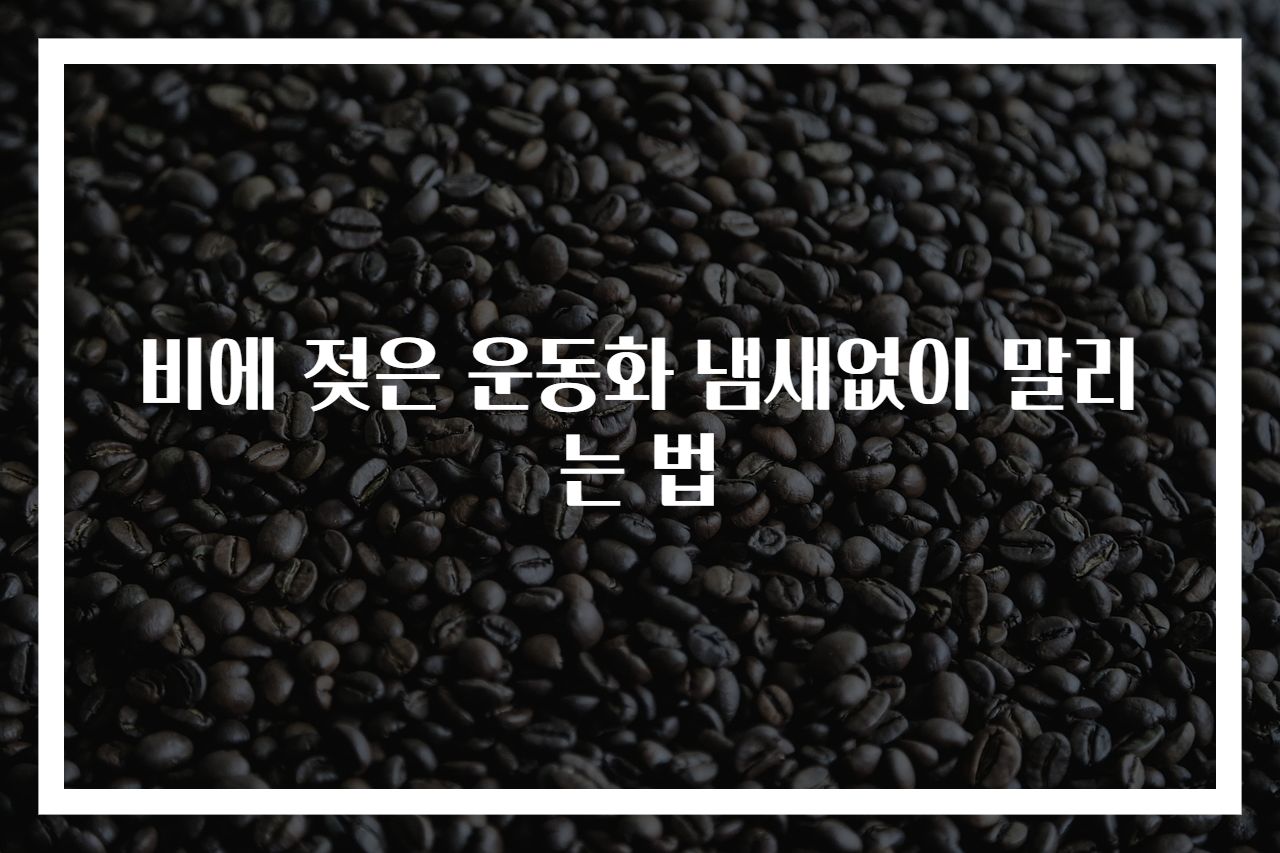비에 젖은 운동화 냄새없이 말리는 법