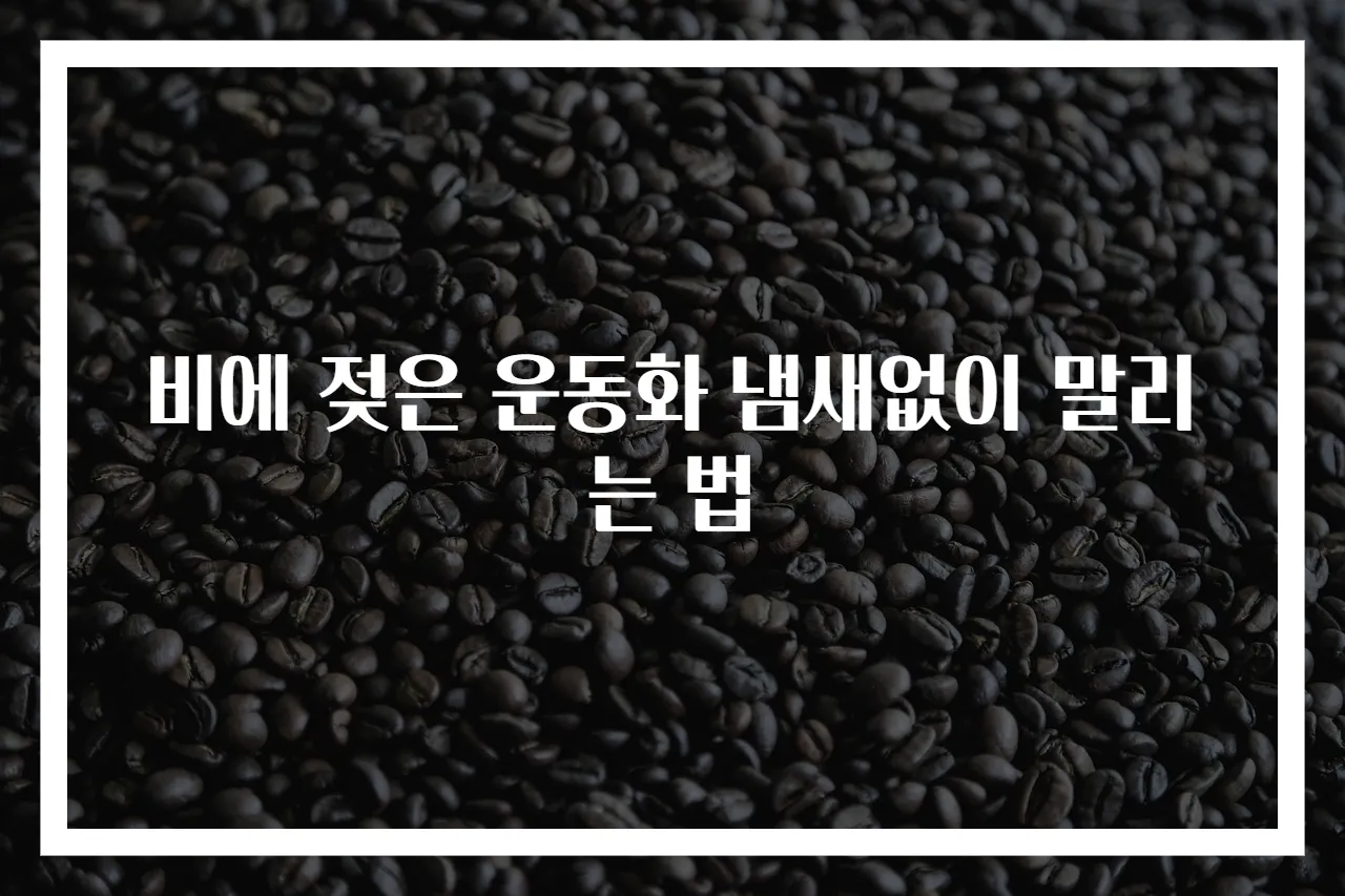 비에 젖은 운동화 냄새없이 말리는 법