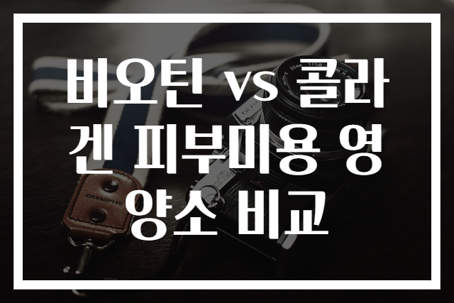 비오틴 vs 콜라겐 피부미용 영양소 비교