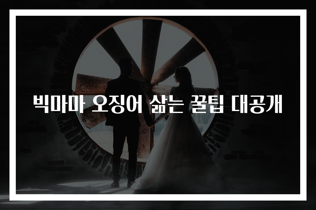 빅마마 오징어 삶는 꿀팁 대공개