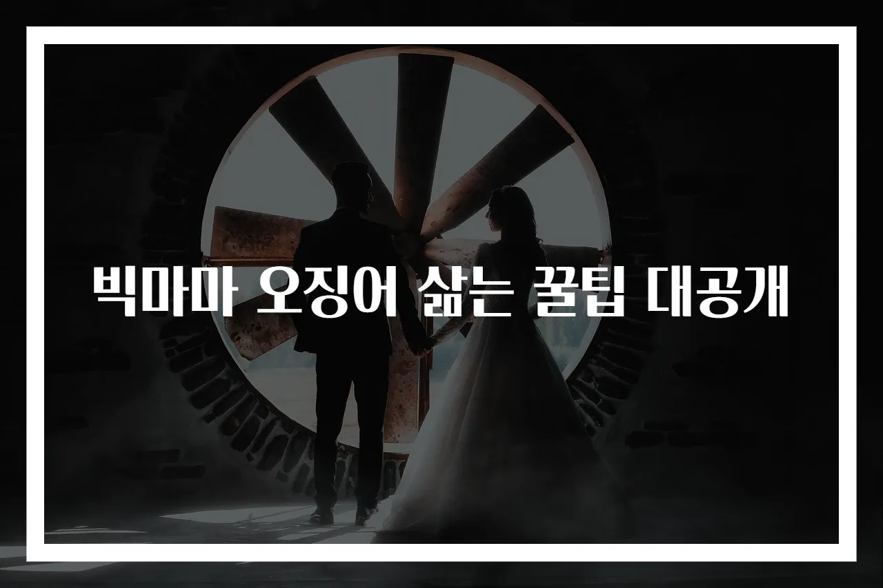 빅마마 오징어 삶는 꿀팁 대공개