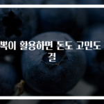 뽁뽁이 활용하면 돈도 고민도 해결