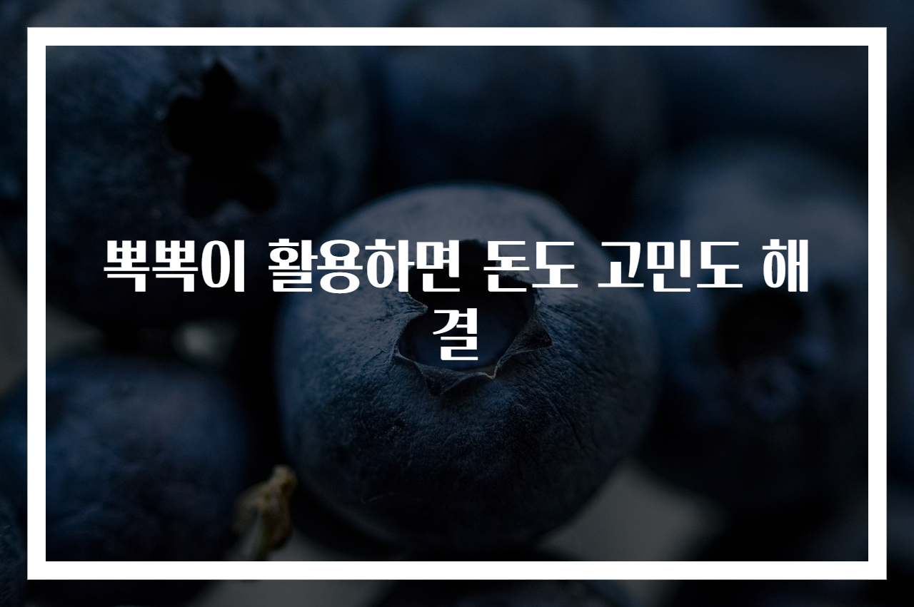 뽁뽁이 활용하면 돈도 고민도 해결