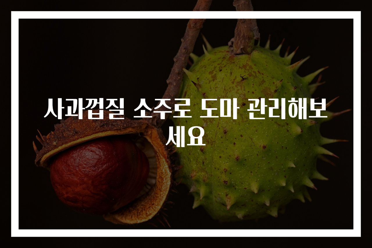사과껍질 소주로 도마 관리해보세요