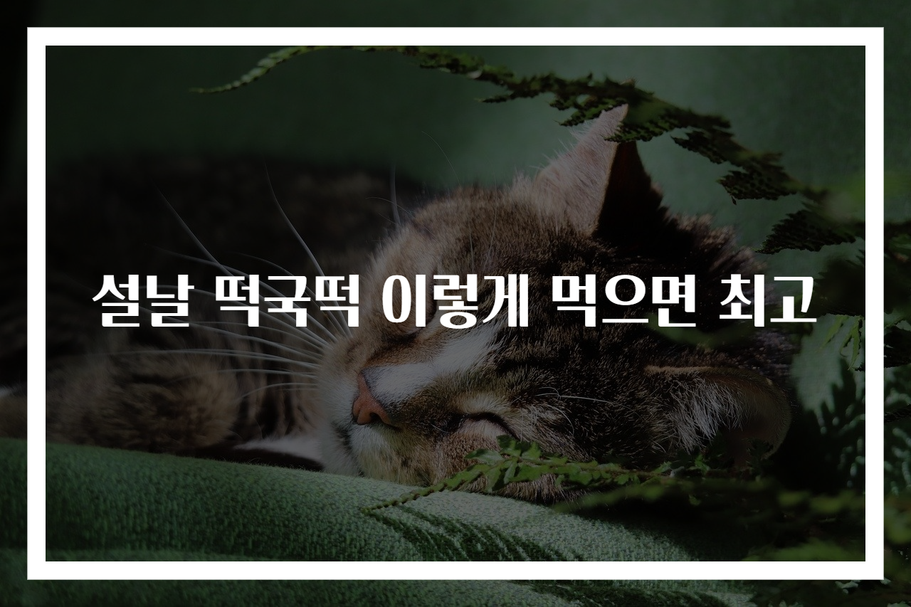 설날 떡국떡 이렇게 먹으면 최고