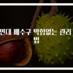 세면대 배수구 막힘없는 관리 비법