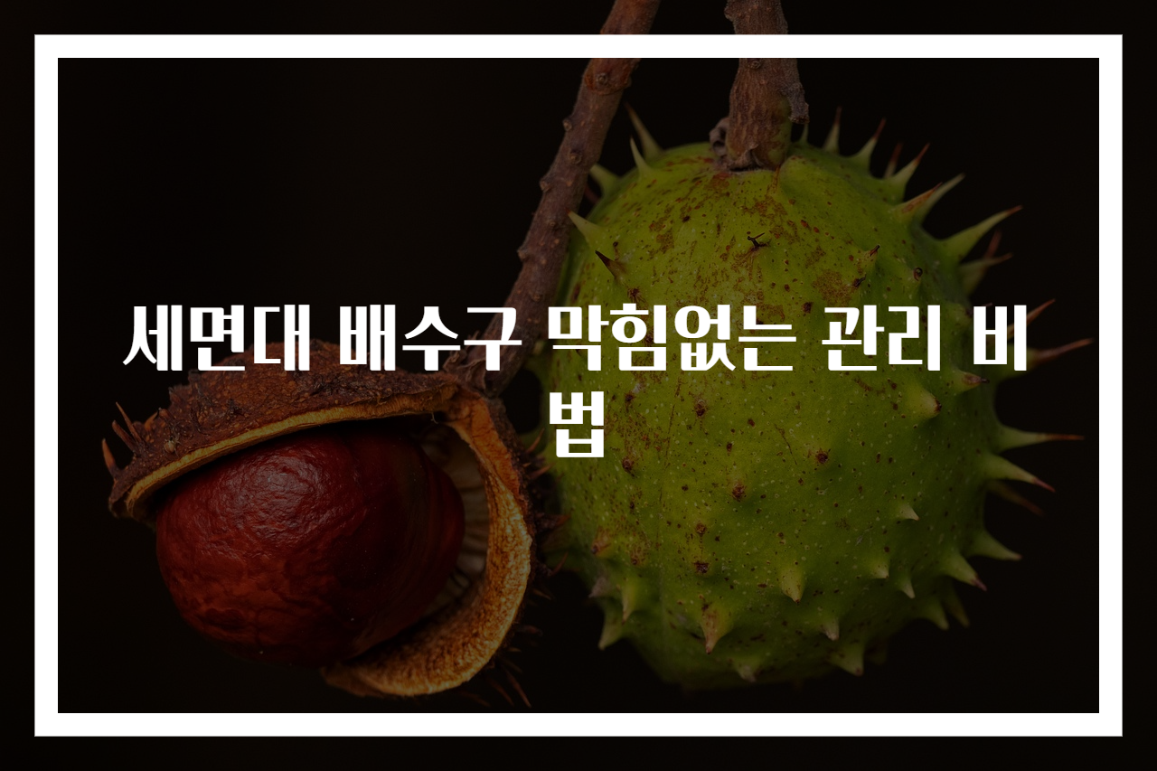 세면대 배수구 막힘없는 관리 비법
