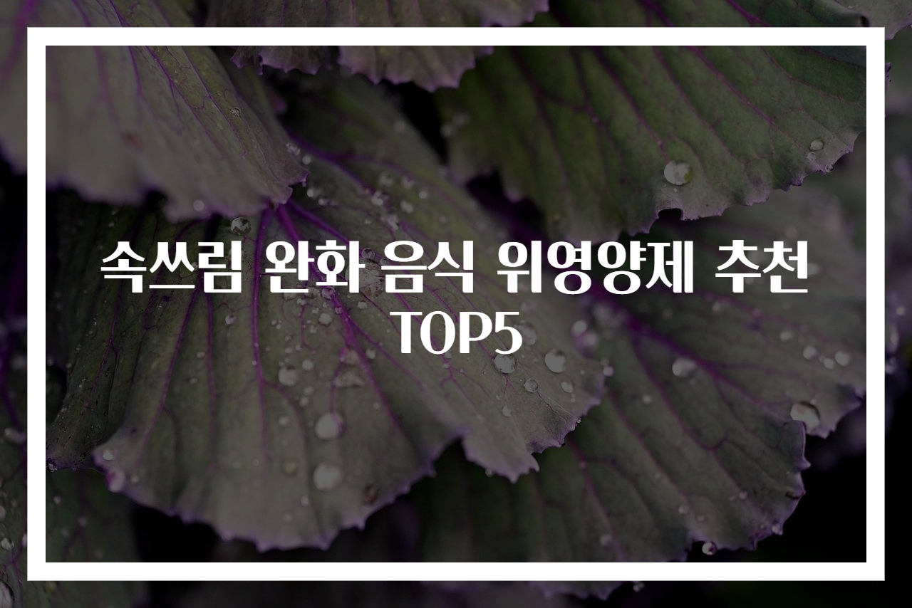 속쓰림 완화 음식 위영양제 추천 TOP5
