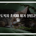 수도꼭지 초록때 제거 살림고수 팁