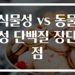 식물성 vs 동물성 단백질 장단점