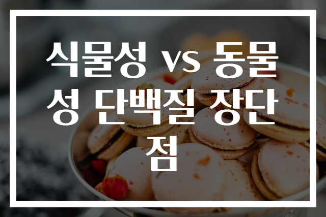 식물성 vs 동물성 단백질 장단점