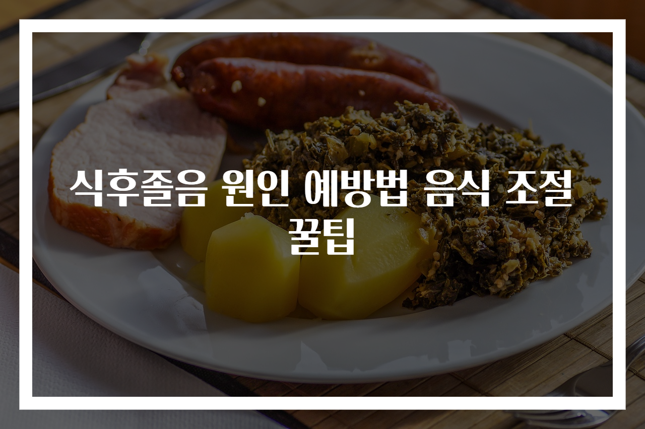 식후졸음 원인 예방법 음식 조절 꿀팁