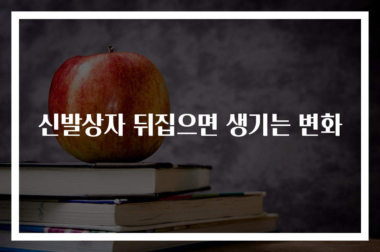신발상자 뒤집으면 생기는 변화