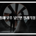 쌀통에 고추 넣으면 벌레걱정 끝