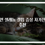 아연 셀레늄 결핍 증상 자가진단 추천