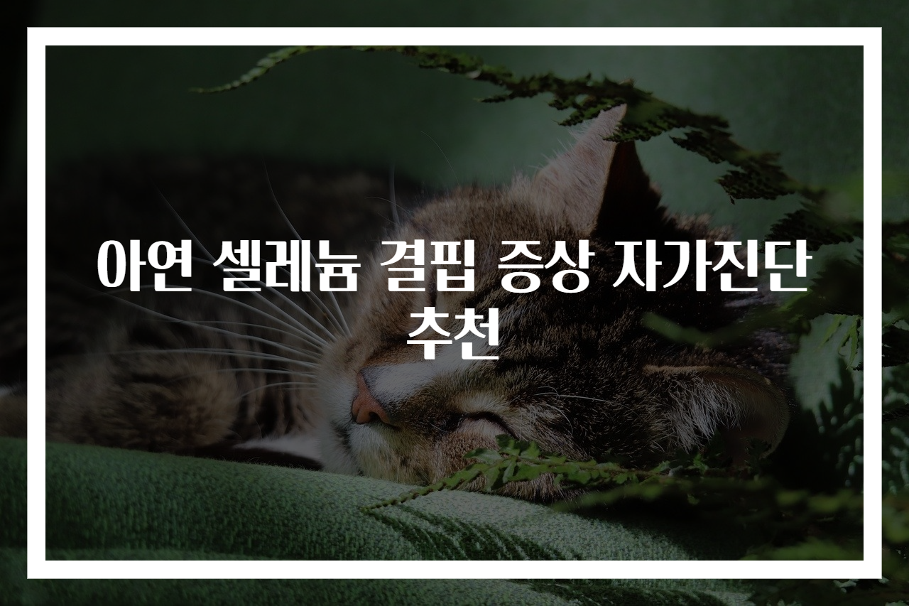 아연 셀레늄 결핍 증상 자가진단 추천