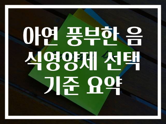 아연 풍부한 음식영양제 선택 기준 요약