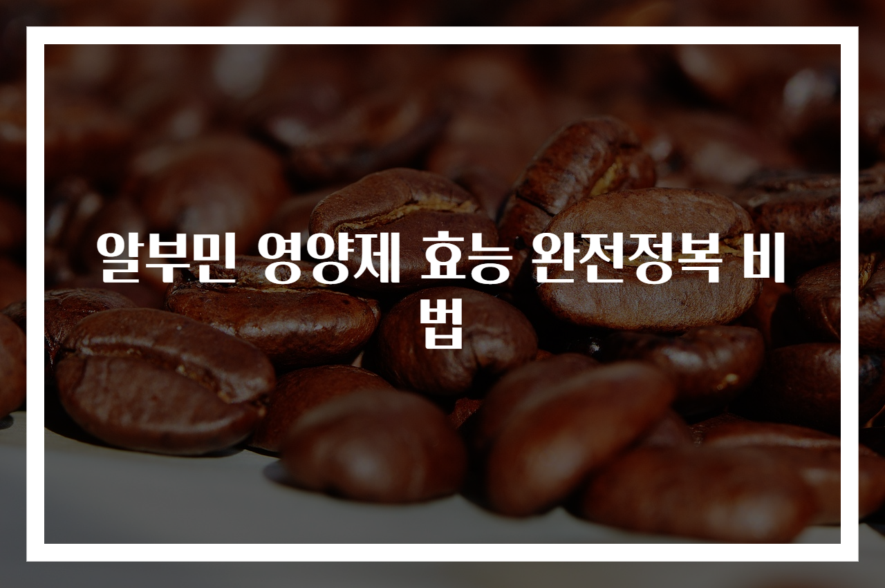 알부민 영양제 효능 완전정복 비법