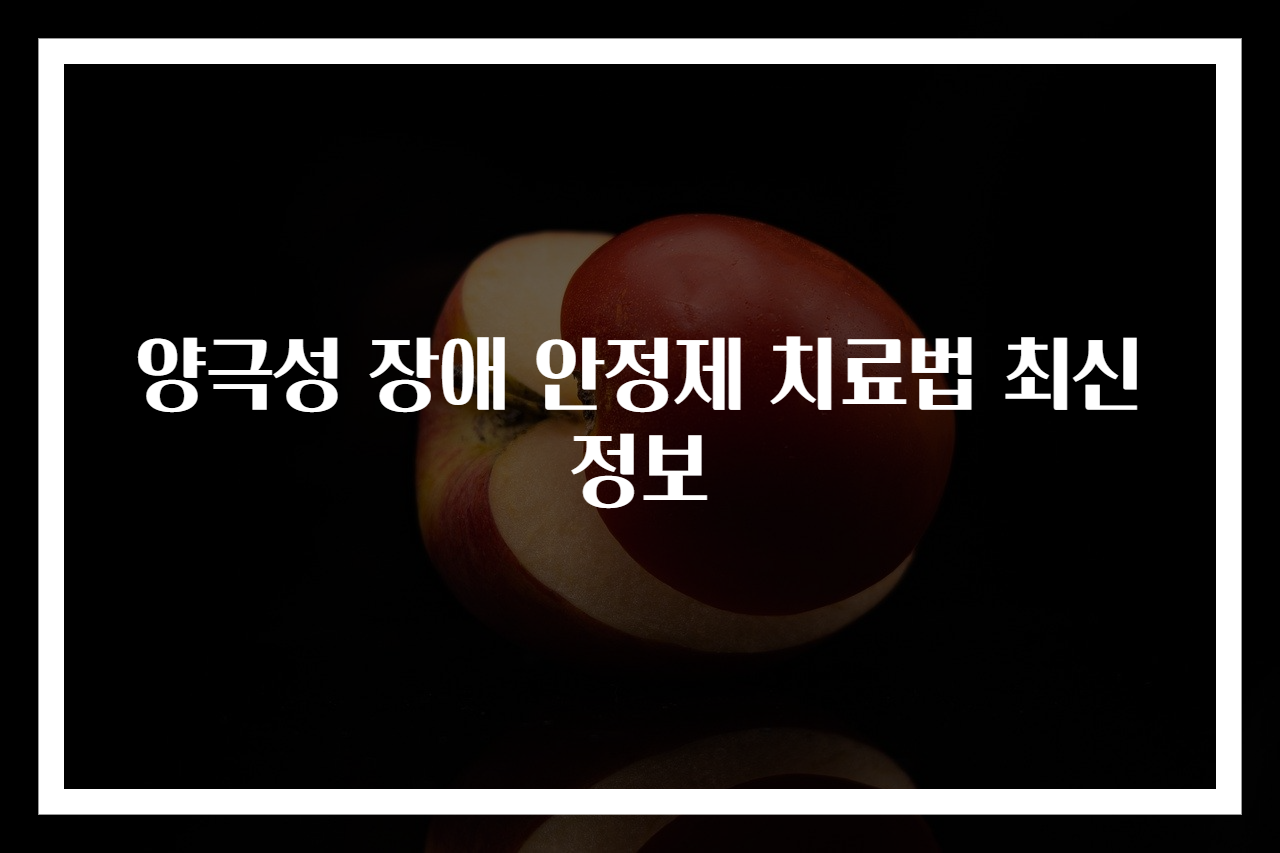 양극성 장애 안정제 치료법 최신 정보