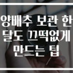 양배추 보관 한달도 끄떡없게 만드는 팁