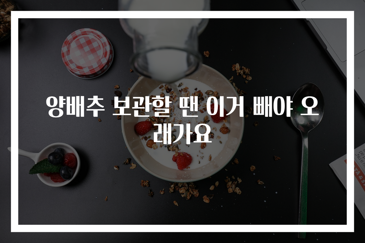 양배추 보관할 땐 이거 빼야 오래가요