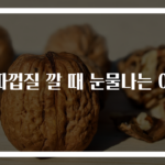 양파껍질 깔 때 눈물나는 이유