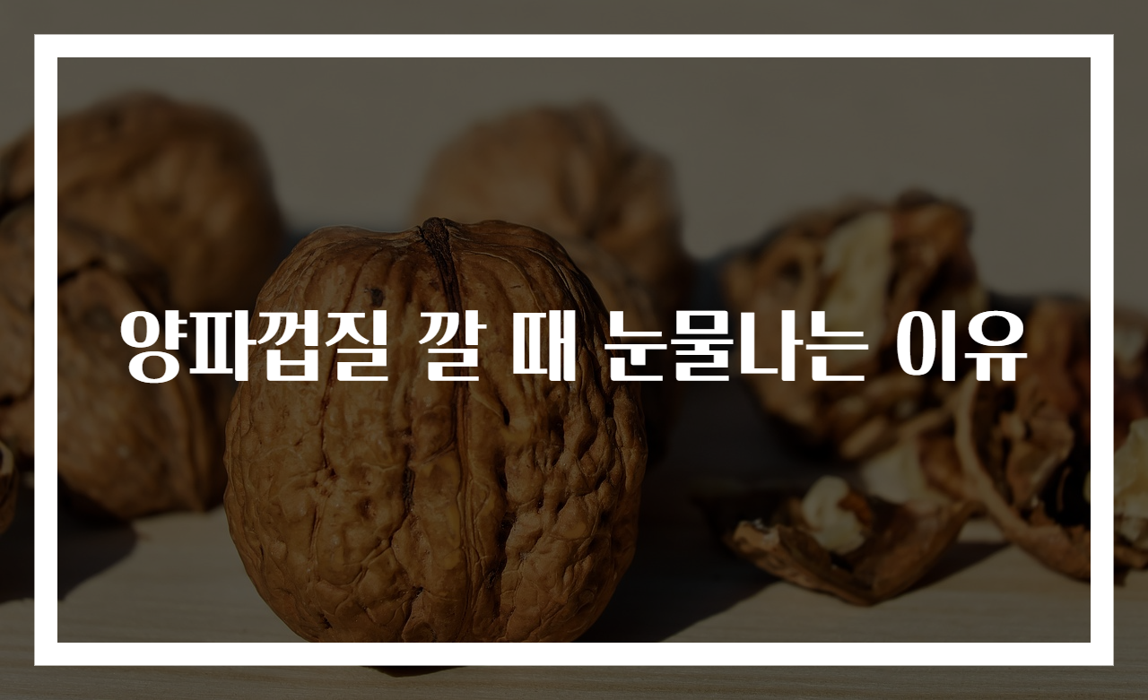 양파껍질 깔 때 눈물나는 이유
