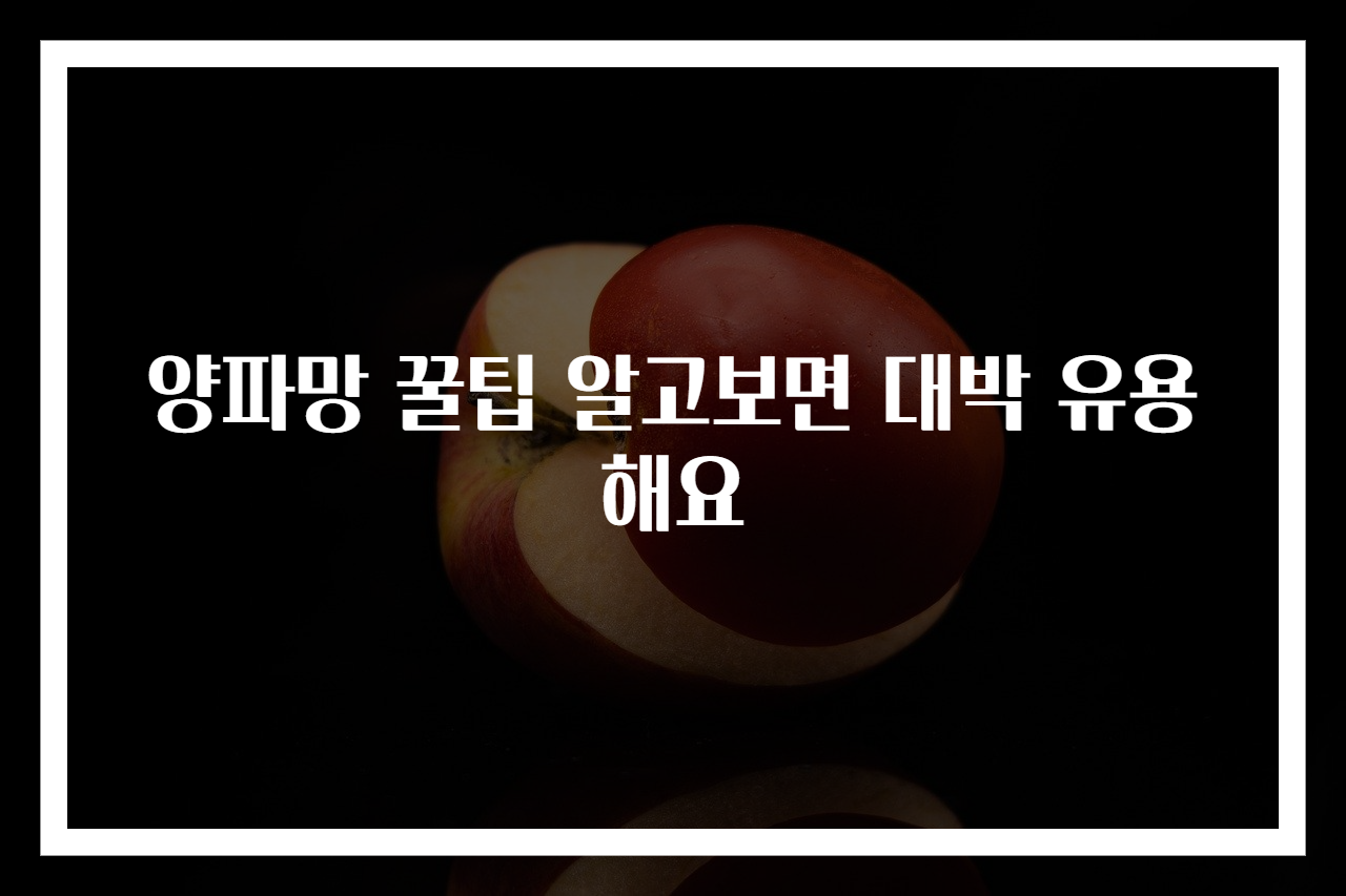 양파망 꿀팁 알고보면 대박 유용해요