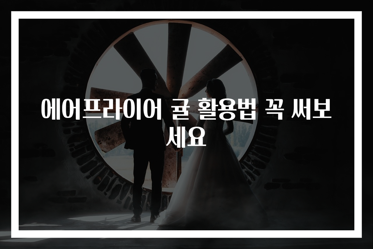 에어프라이어 귤 활용법 꼭 써보세요