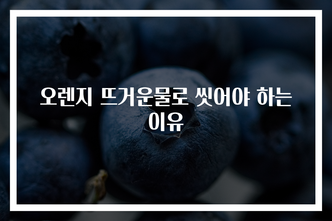오렌지 뜨거운물로 씻어야 하는 이유