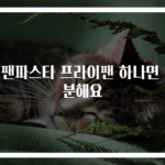 원팬파스타 프라이팬 하나면 충분해요