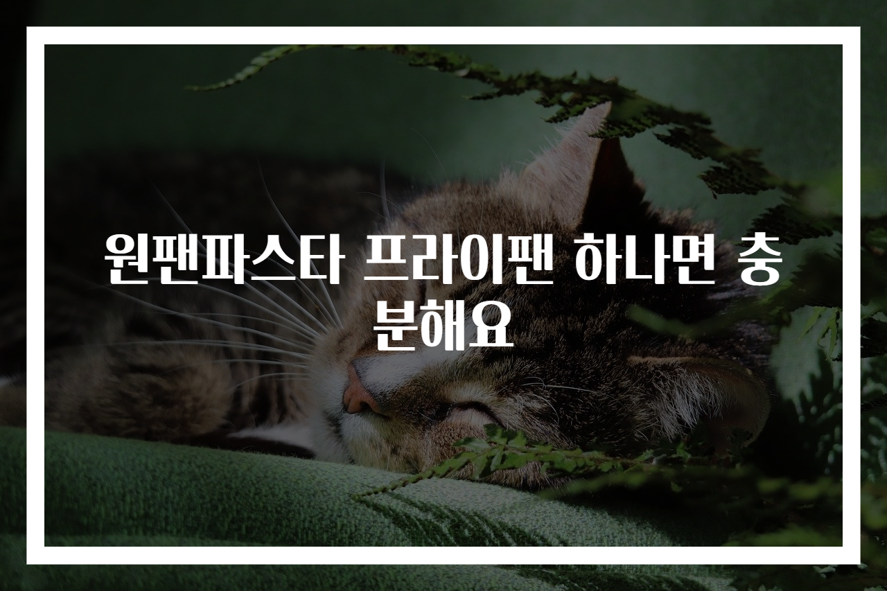 원팬파스타 프라이팬 하나면 충분해요