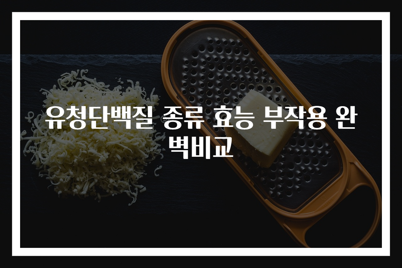 유청단백질 종류 효능 부작용 완벽비교