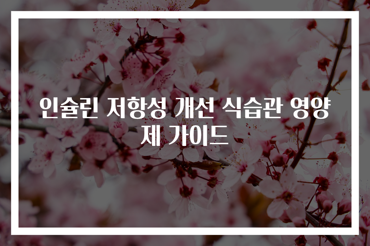 인슐린 저항성 개선 식습관 영양제 가이드