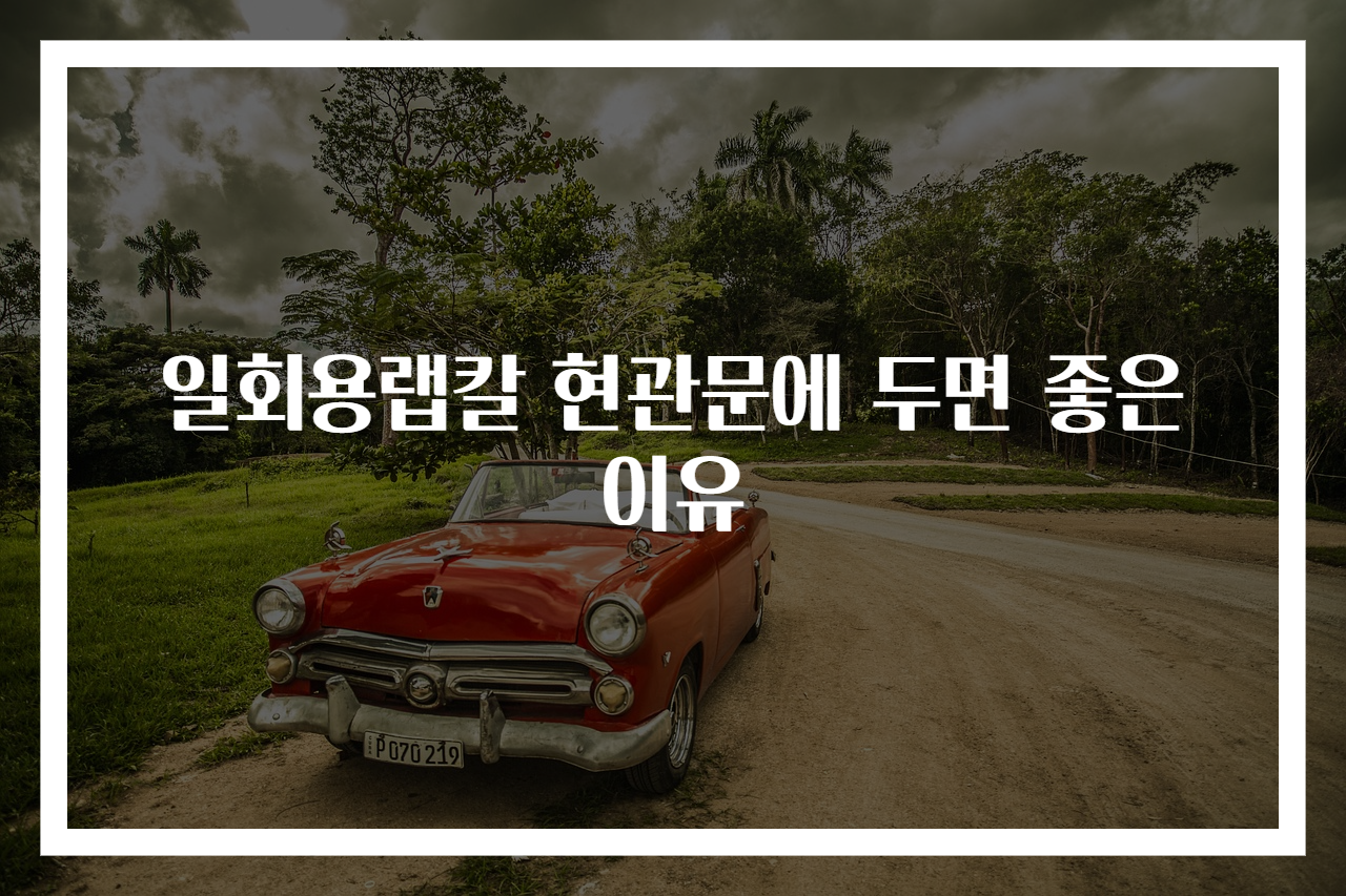 일회용랩칼 현관문에 두면 좋은 이유
