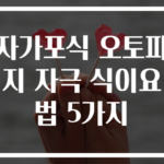 자가포식 오토파지 자극 식이요법 5가지
